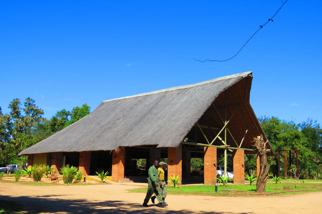 Gorongosa National Park, Goinha Mozambique