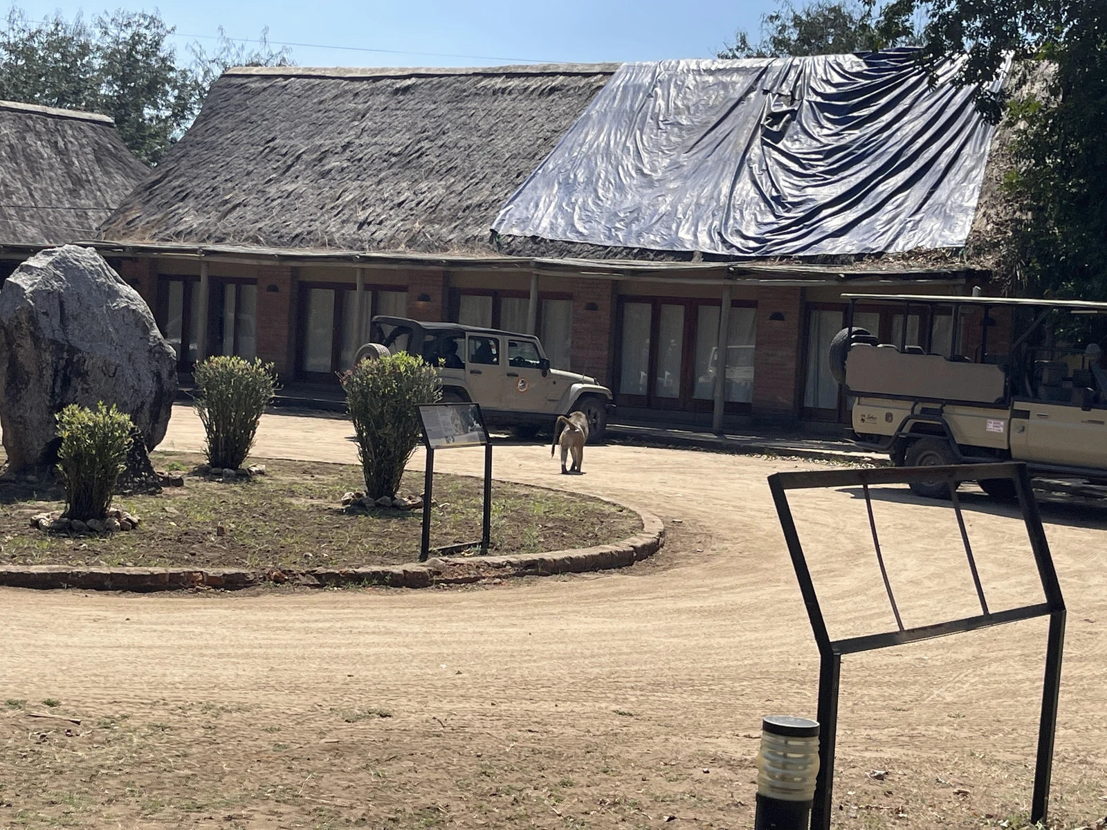 Gorongosa National Park, Goinha Mozambique