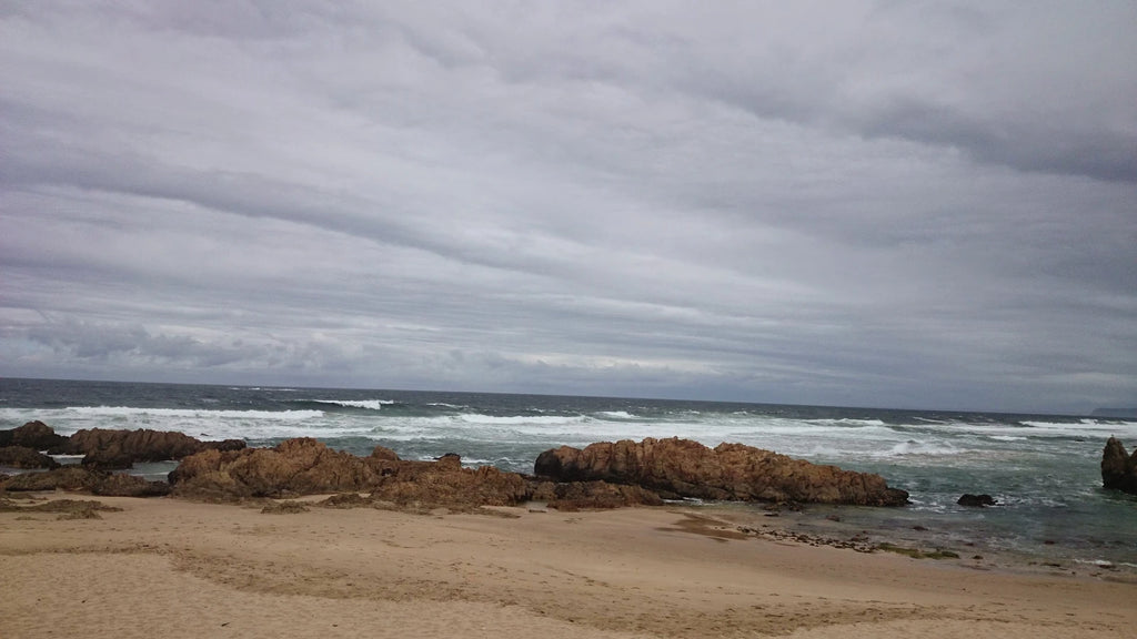 Goukamma Nature Reserve, Knysna South Africa