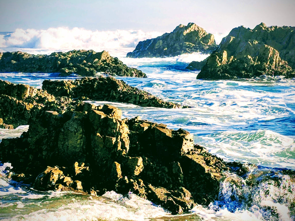 Goukamma Nature Reserve, Knysna South Africa