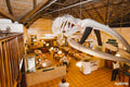 Great White House Restaurant - Gansbaai, Van Dyks Bay South Africa
