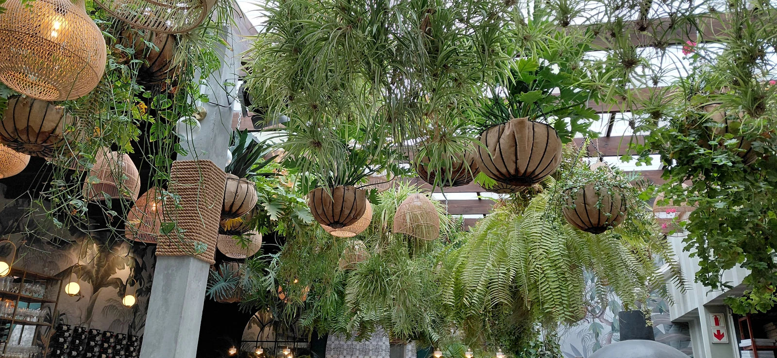 GREENHAUS - Restaurant & Venue Hire, Cape Town South Africa