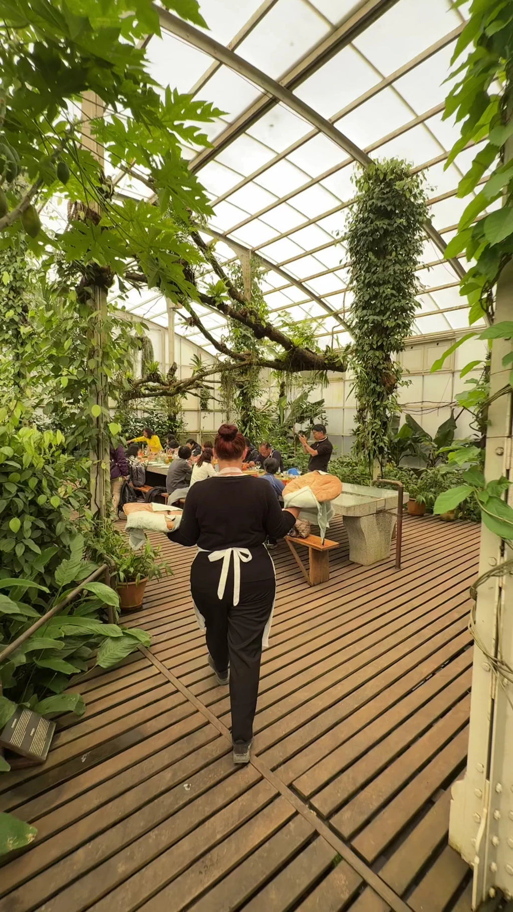 Greenhouse Restaurant, 
Paarl South Africa