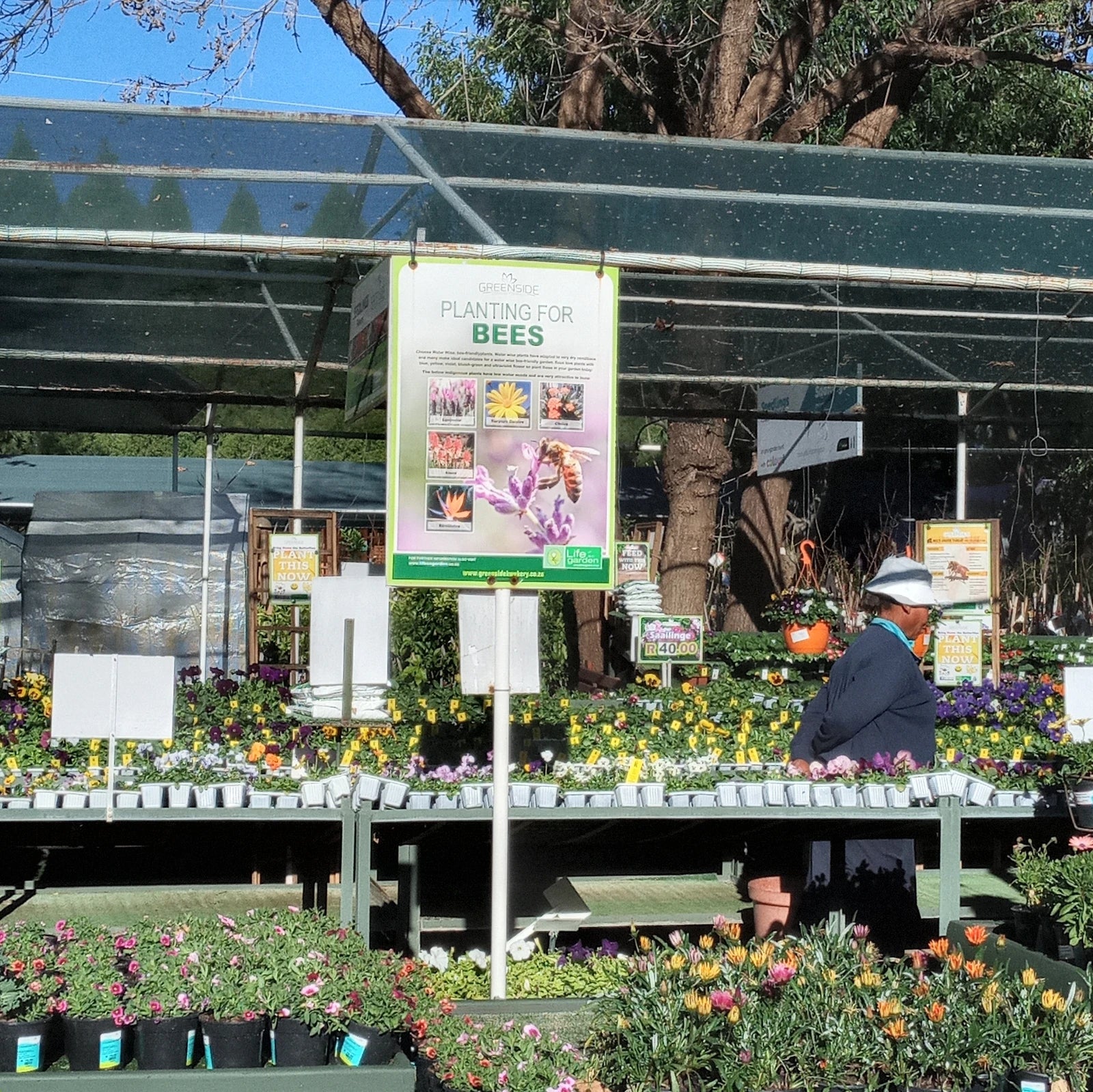 Greenside Nursery