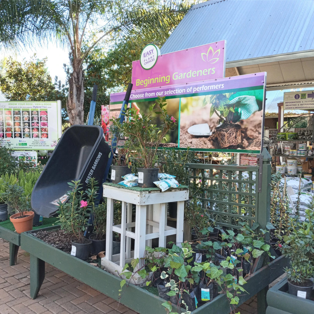 Greenside Nursery, Bloemfontein South Africa