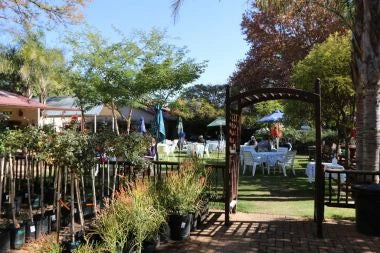 Greenside Nursery, Bloemfontein South Africa
