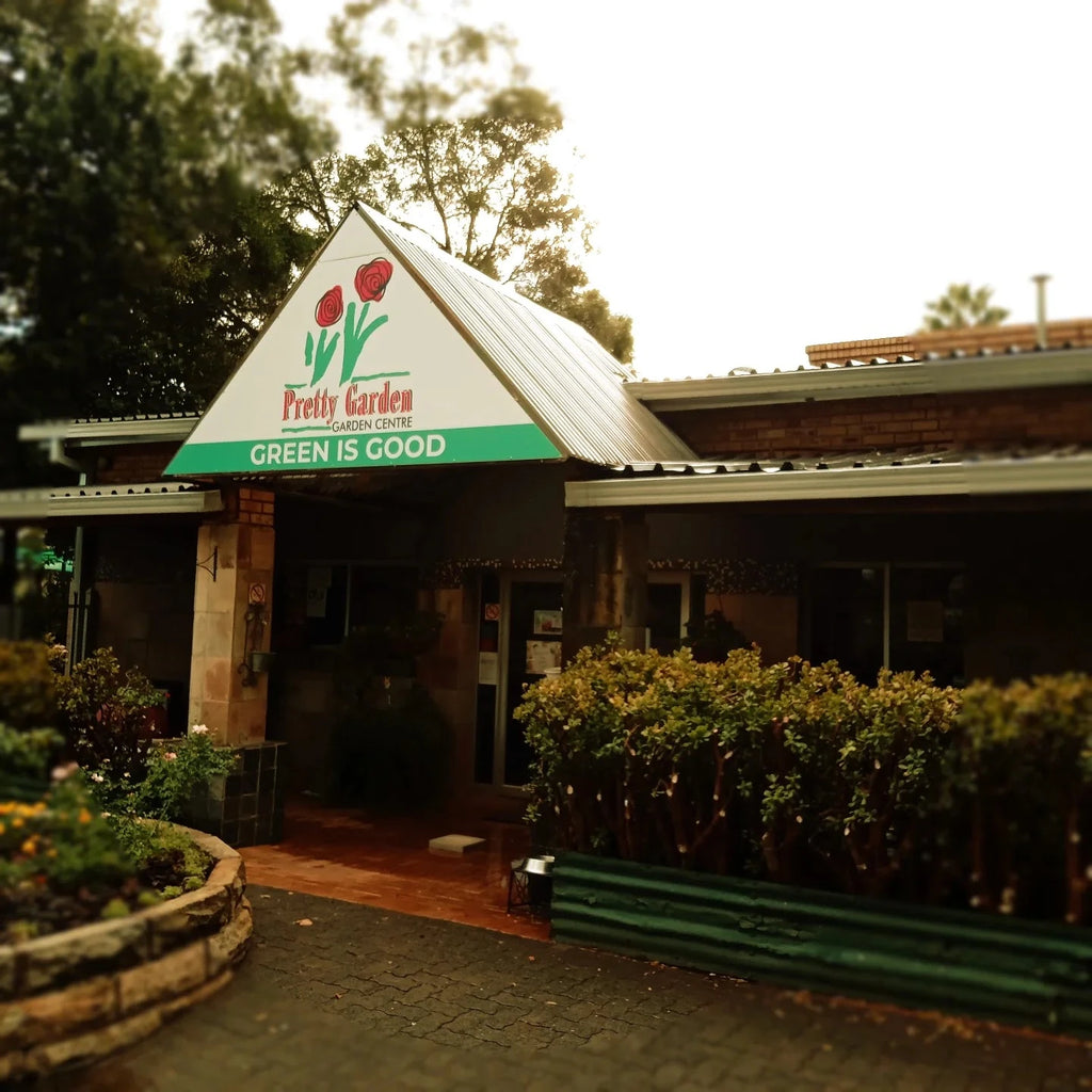 Greenside Nursery, Bloemfontein South Africa