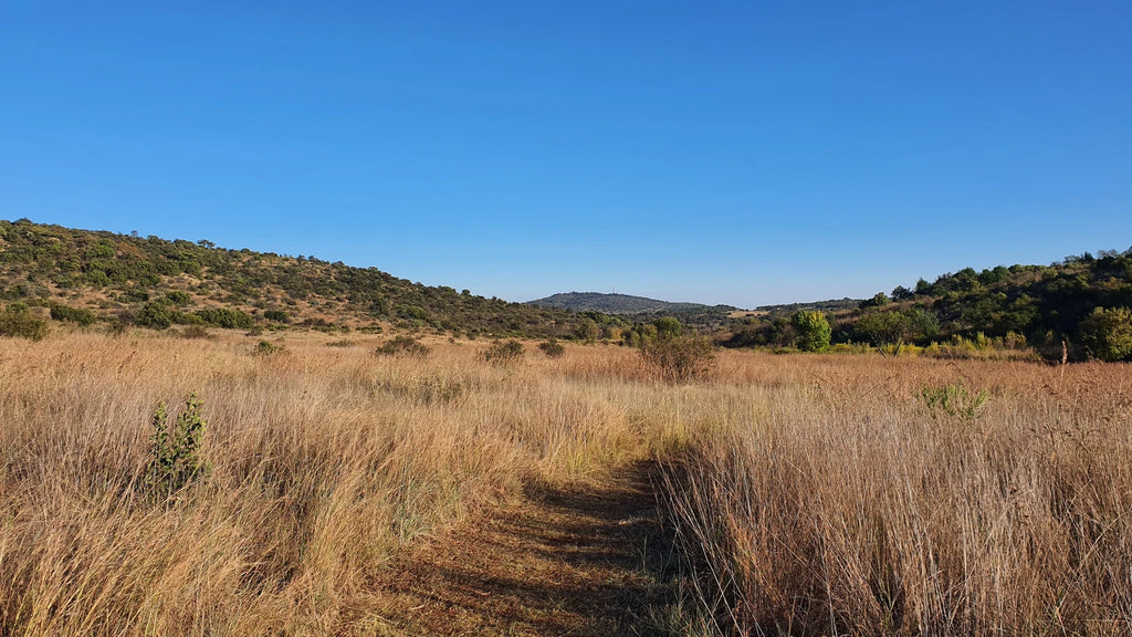 Groenkloof Nature Reserve, Pretoria South Africa