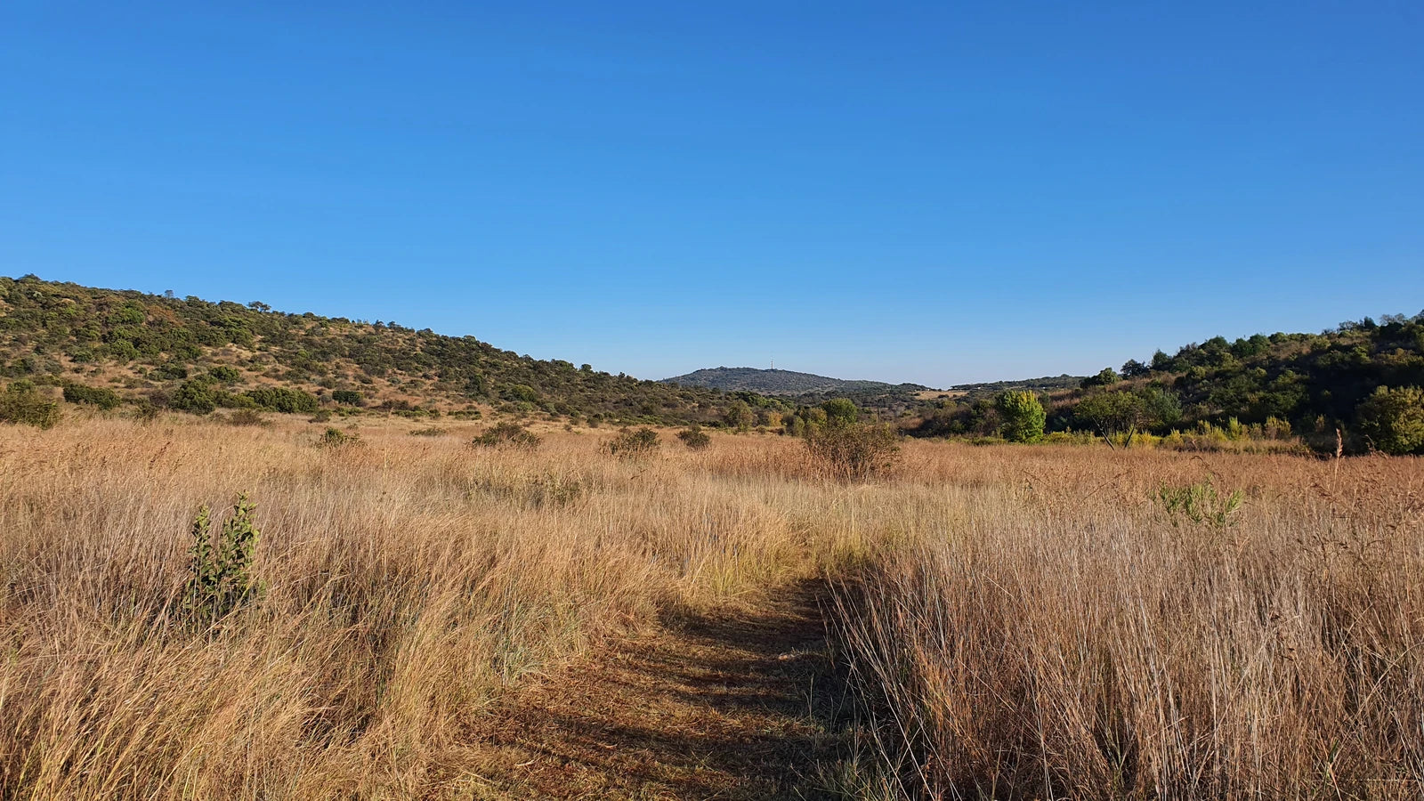 Groenkloof Nature Reserve, Pretoria South Africa