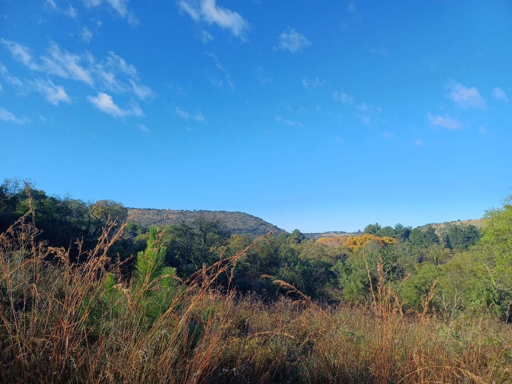 Groenkloof Nature Reserve, Pretoria South Africa