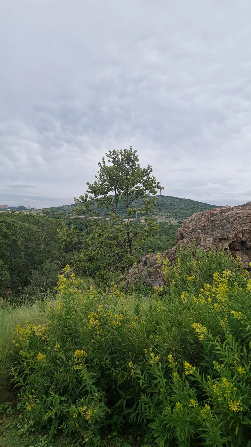 Groenkloof Nature Reserve, Pretoria South Africa