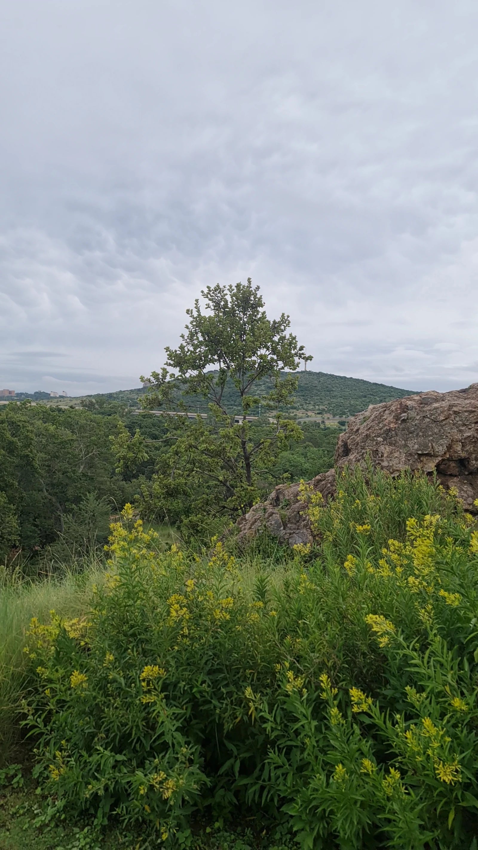 Groenkloof Nature Reserve, Pretoria South Africa
