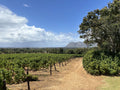 Groot Constantia Winemaking Plaque, Cape Town South Africa