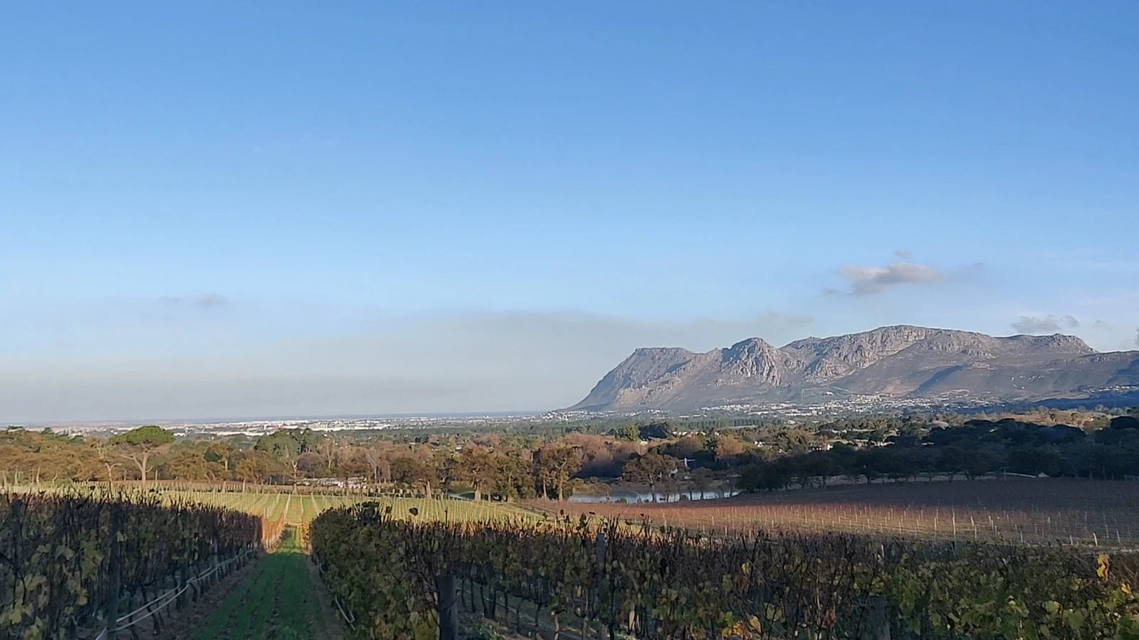 Groot Constantia Winemaking Plaque, Cape Town South Africa