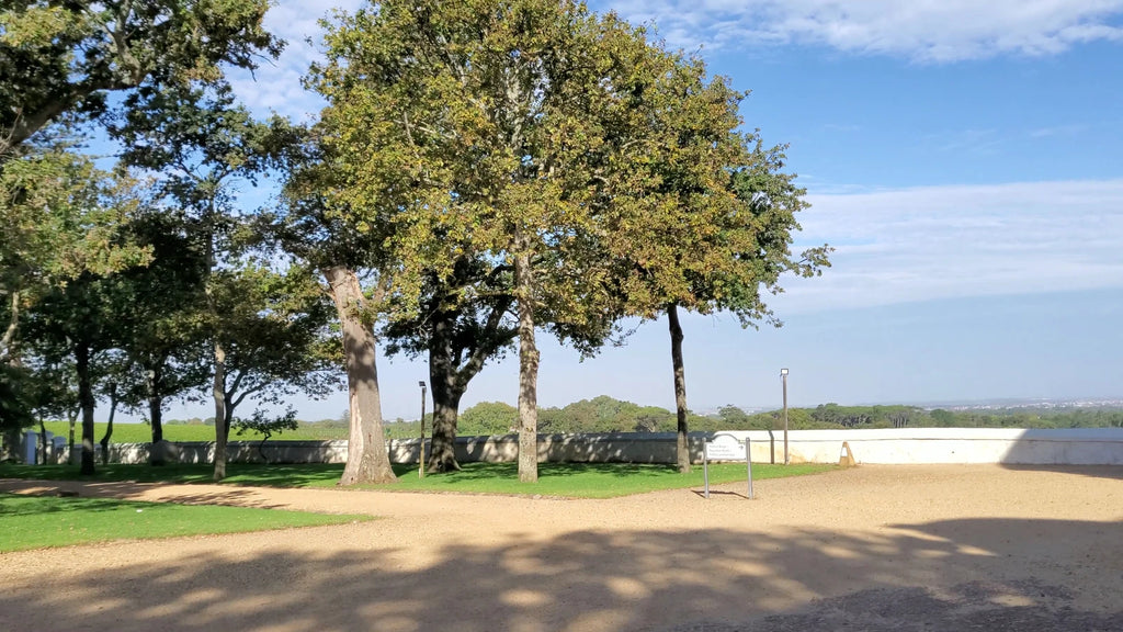 Groot Constantia, Constantia South Africa