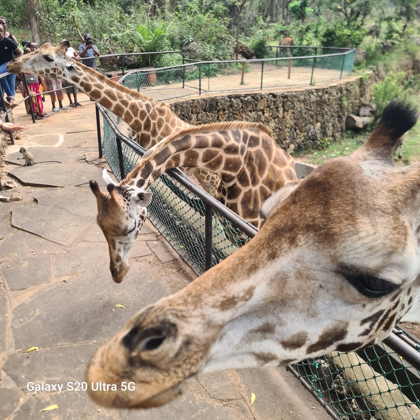 Haller Park, Mombasa Kenya