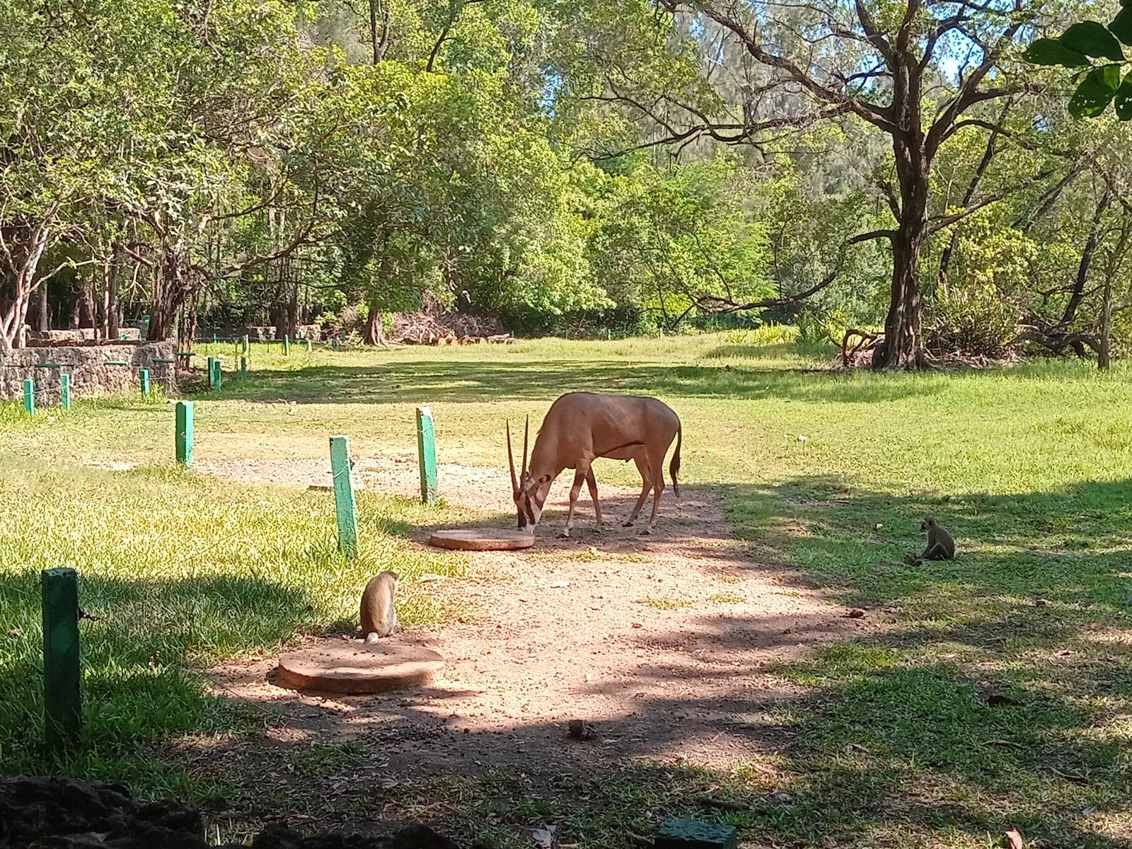 Haller Park, Mombasa Kenya