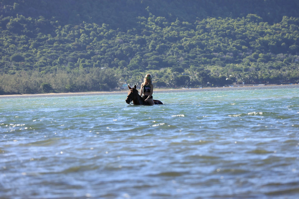 Haras Du Morne, Le Morne Mauritius