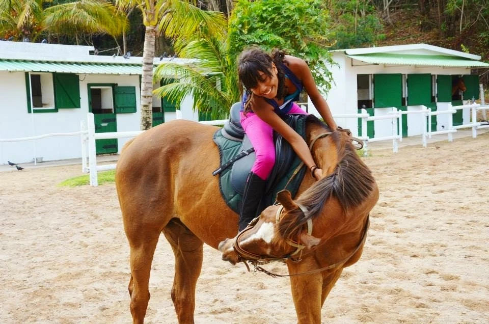Haras Du Morne, Le Morne Mauritius