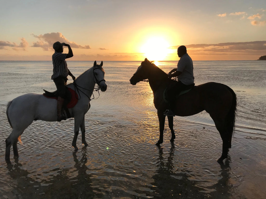 Haras Du Morne, Le Morne Mauritius