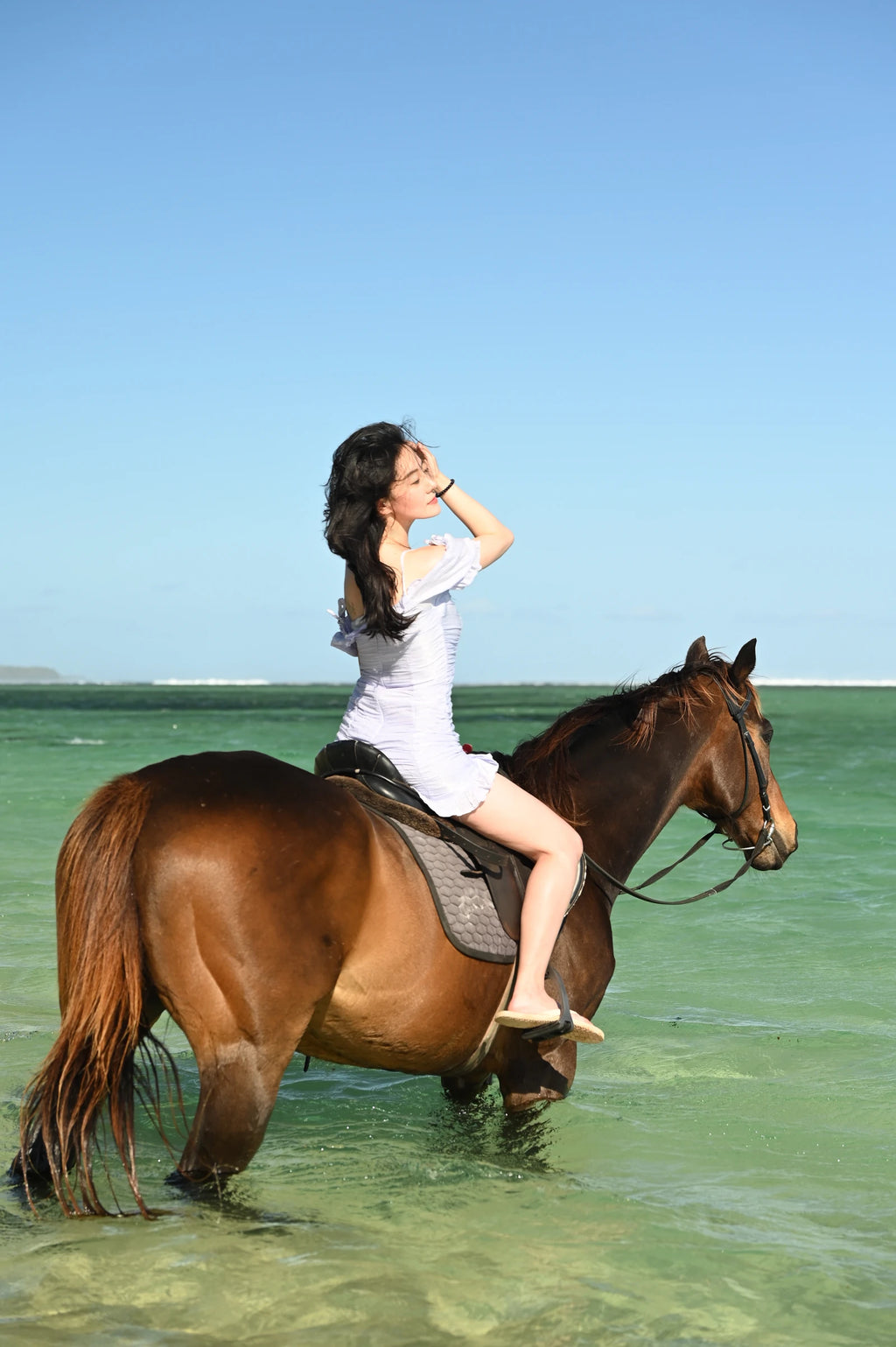 Haras Du Morne, Le Morne Mauritius
