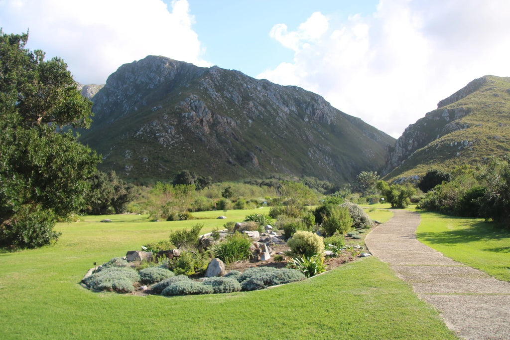 Harold Porter National Botanical Gardens, Betty's Bay South Africa