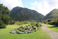 Harold Porter National Botanical Gardens, Betty's Bay South Africa