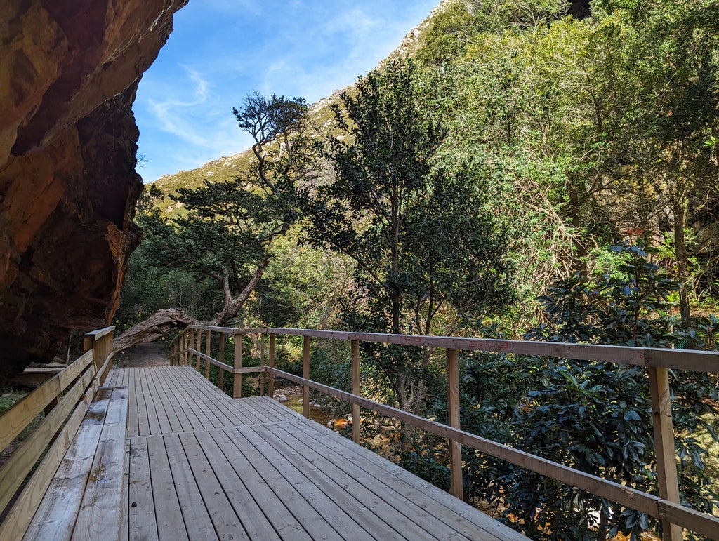 Harold Porter National Botanical Gardens, Betty's Bay South Africa