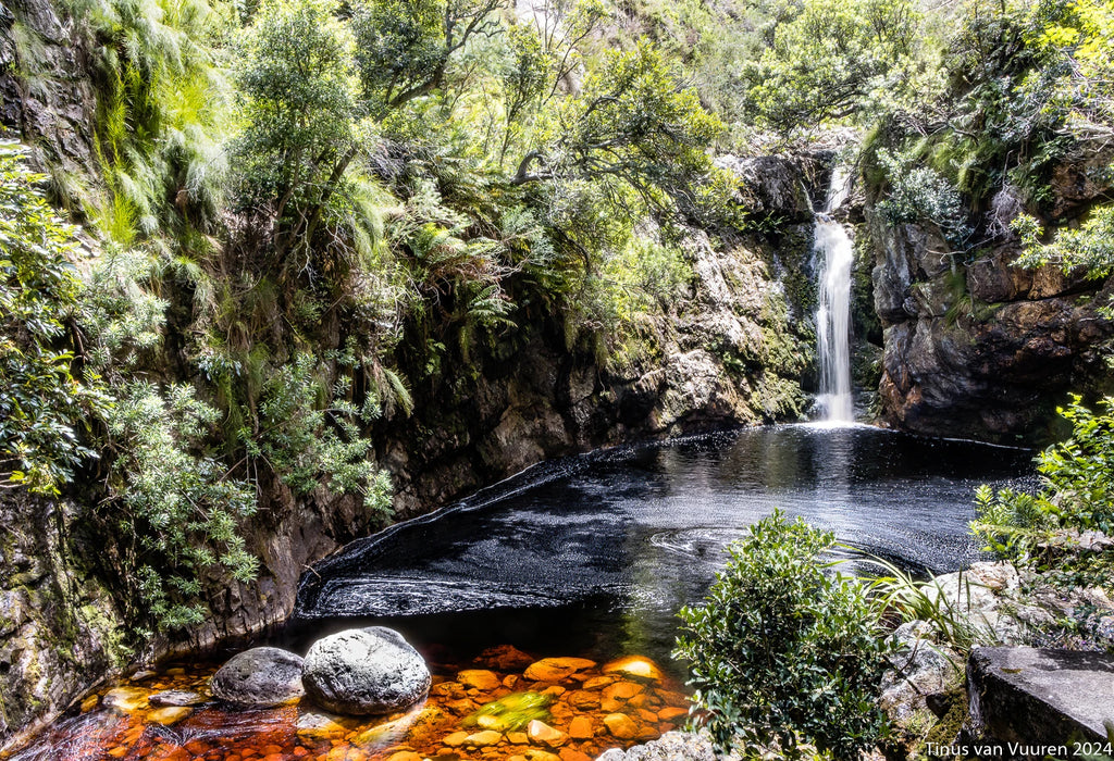 Harold Porter National Botanical Gardens, Betty's Bay South Africa