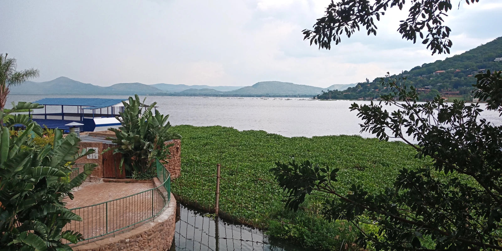 Hartbeespoort Dam Snake and Animal Park, Hartbeespoort South Africa