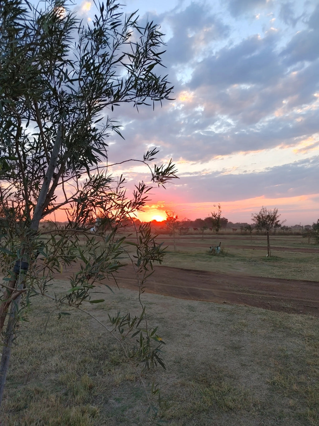 Hazeldean Valley Trails, Pretoria South Africa