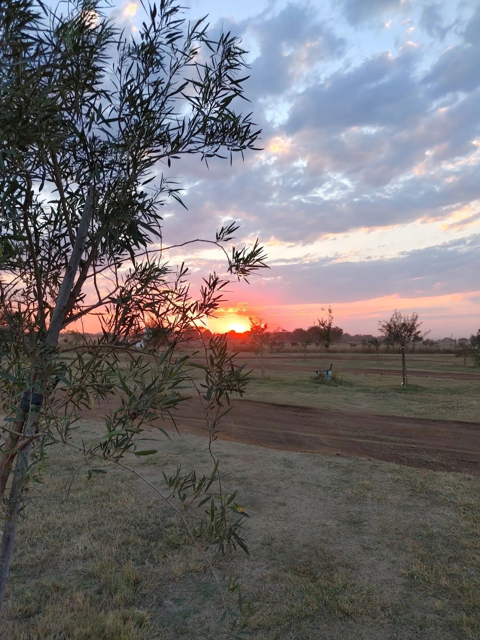 Hazeldean Valley Trails, Pretoria South Africa