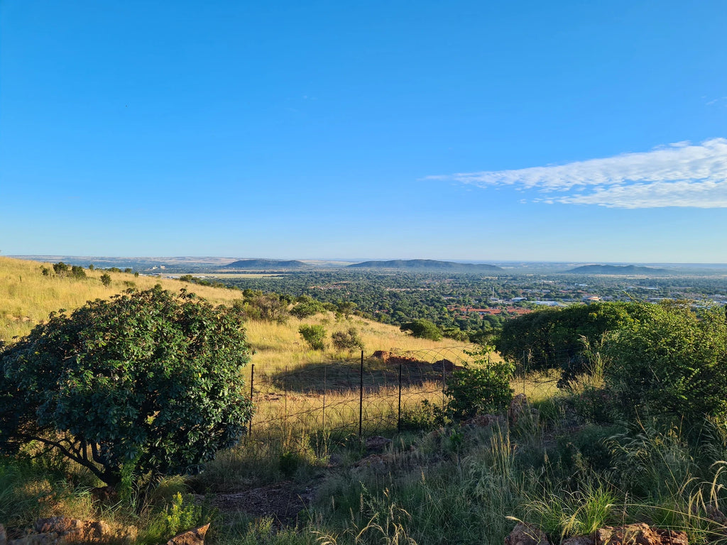 Hazeldean Valley Trails, Pretoria South Africa