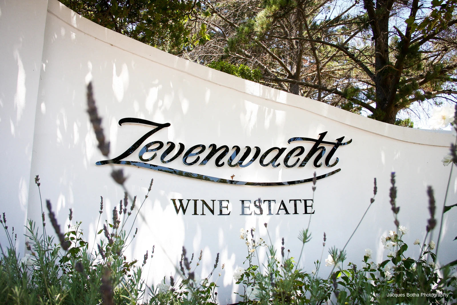 Hazendal Wine Estate, Stellenbosch South Africa