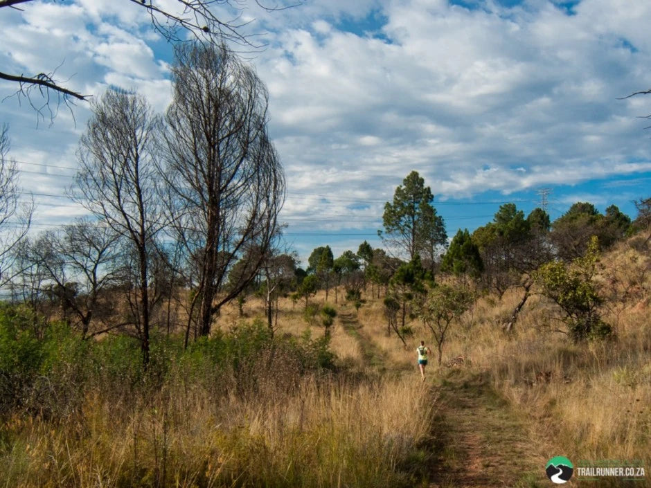 Hedianga Farm, Pretoria South Africa