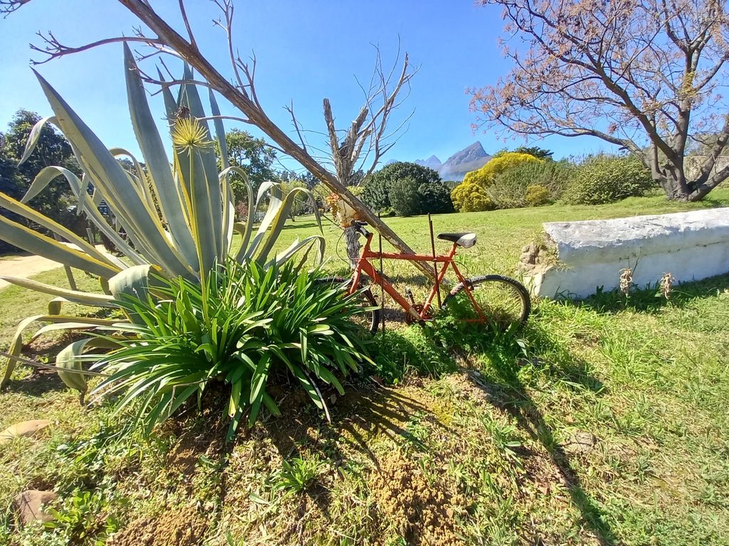 Helderberg Farm, Raithby South Africa