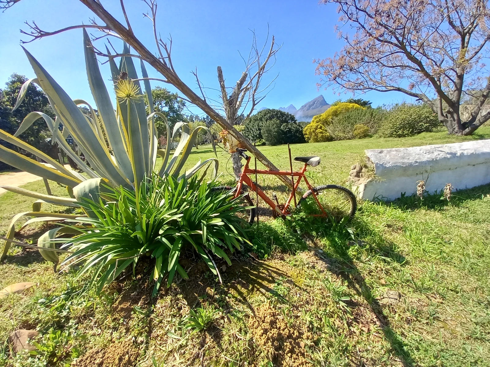 Helderberg Farm