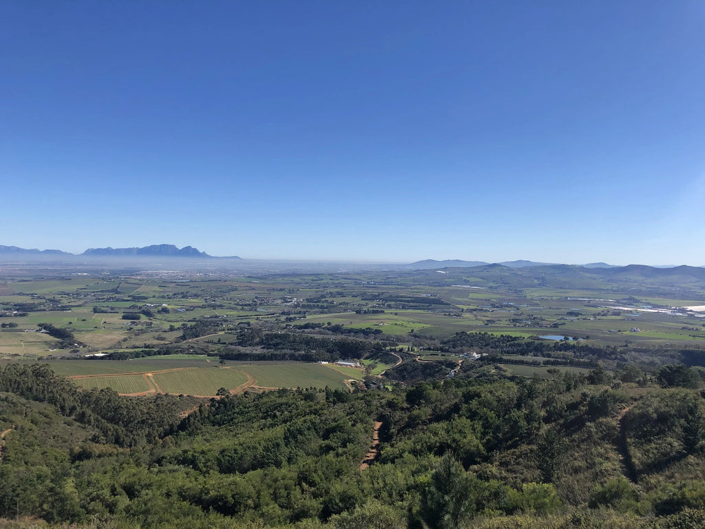 Helderberg Farm, Raithby South Africa