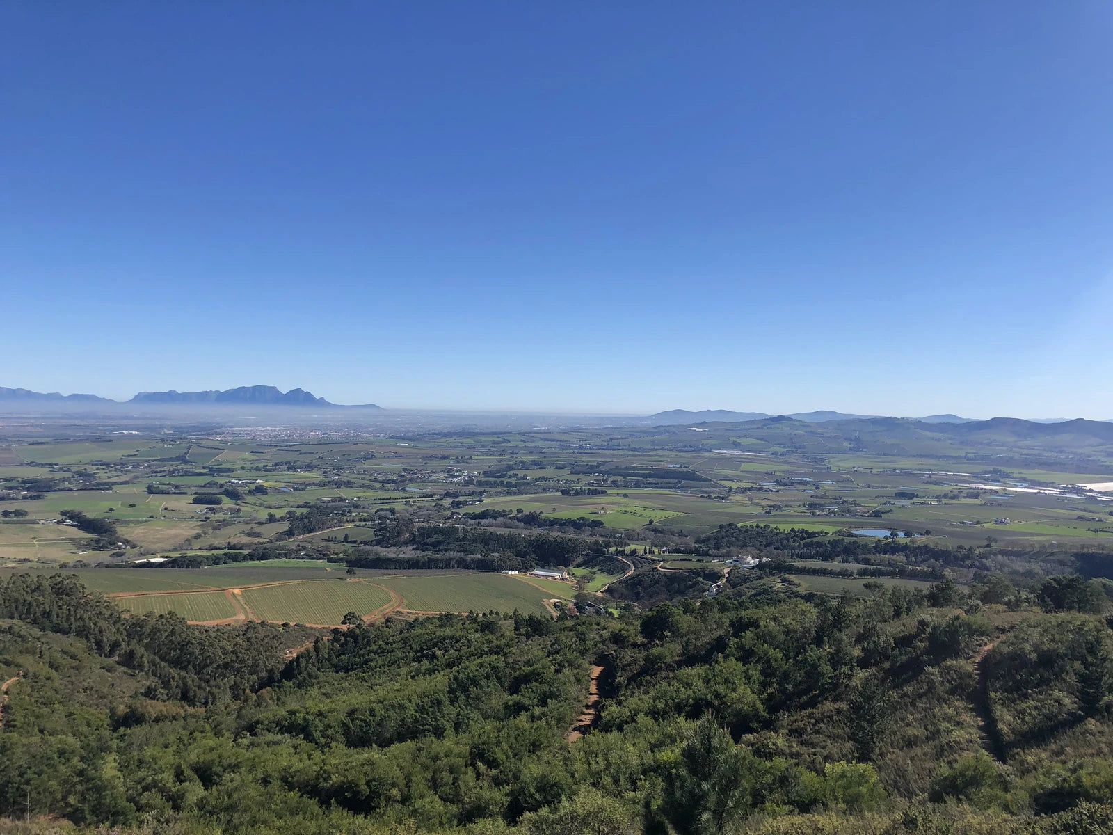 Helderberg Farm, Raithby South Africa
