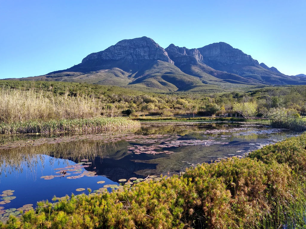 Helderberg Farm, Raithby South Africa