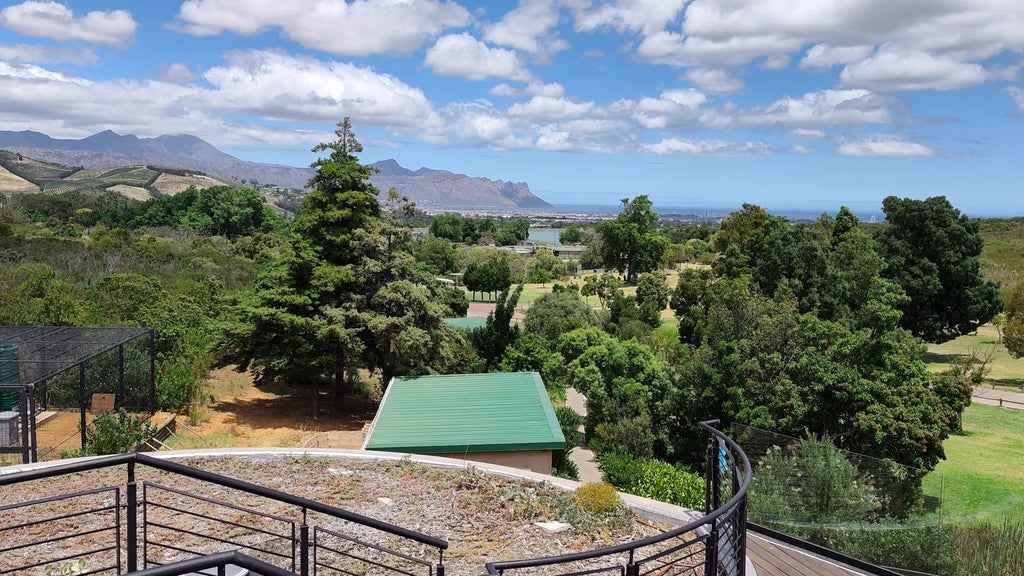 Helderberg Nature Reserve, Cape Town South Africa