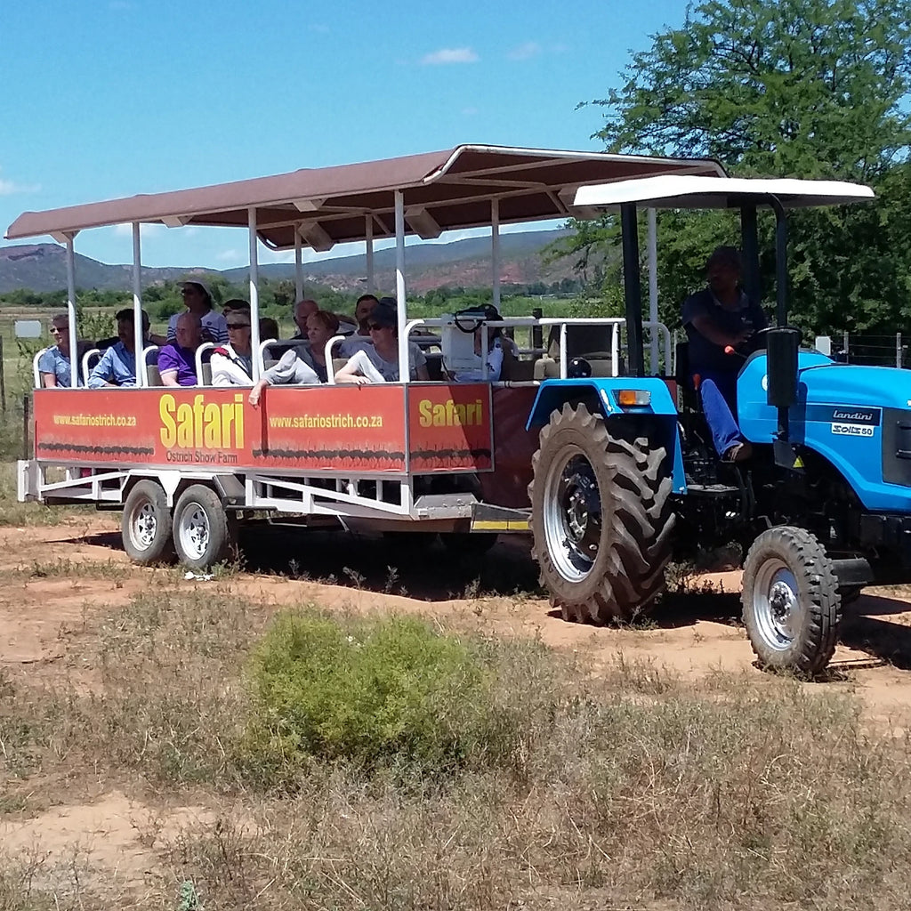 Highgate Ostrich Show Farm, Oudtshoorn South Africa