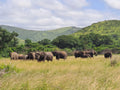 Hluhluwe–iMfolozi Park,  South Africa