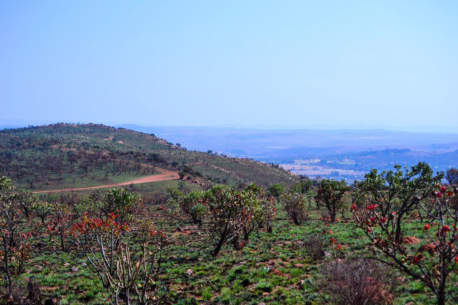 Hobby Park, Johannesburg South Africa