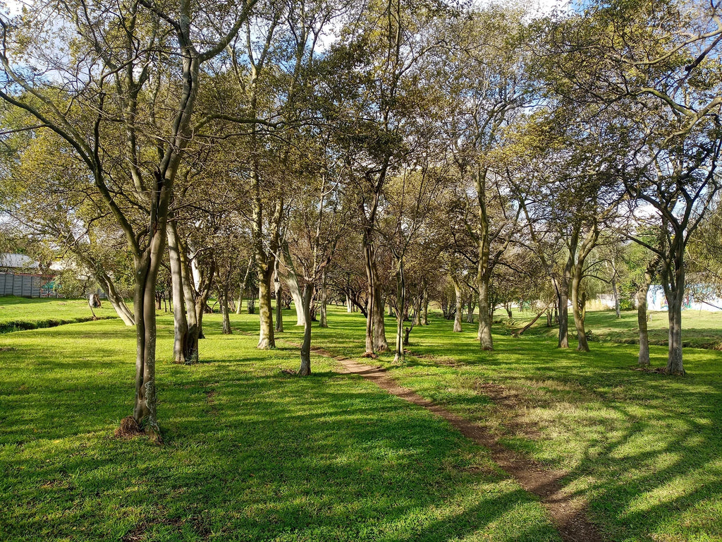 Hobby Park, Johannesburg South Africa