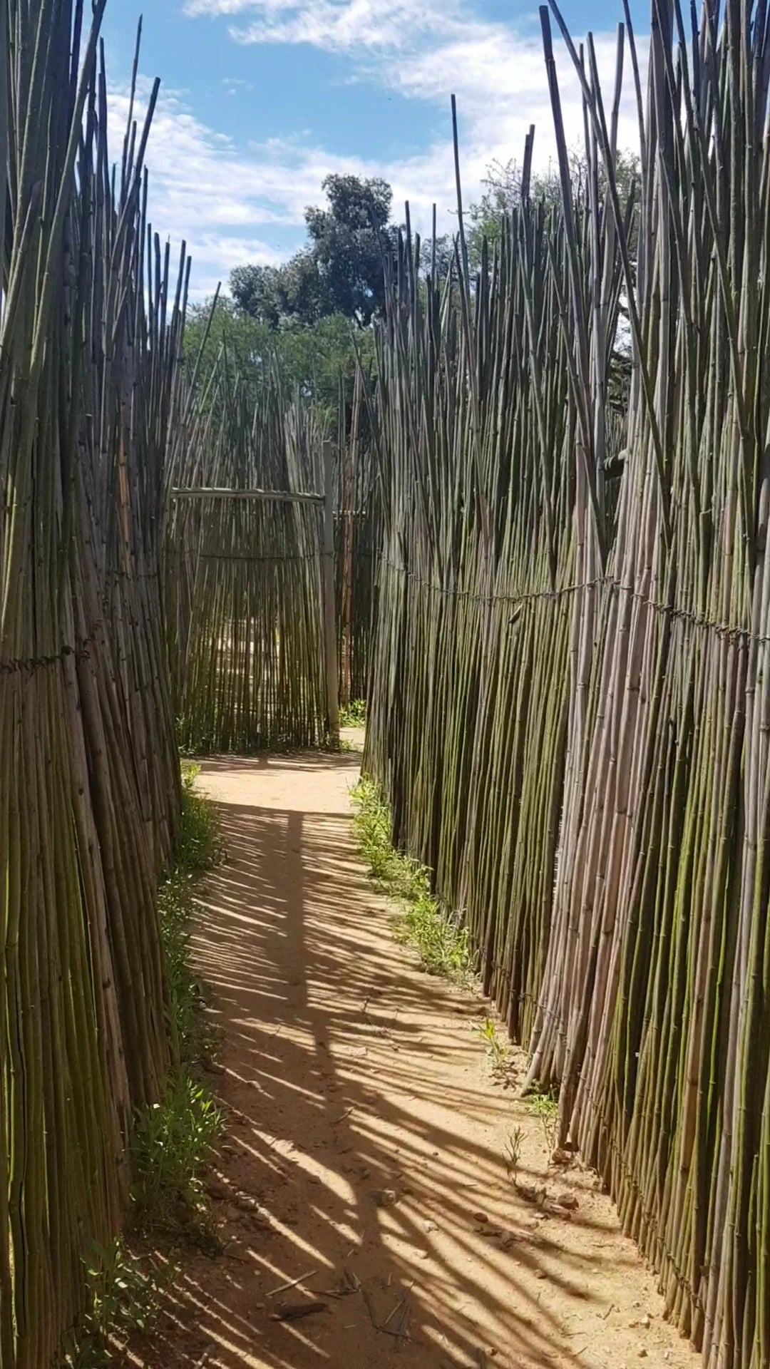 Honeydew Mazes, Johannesburg South Africa