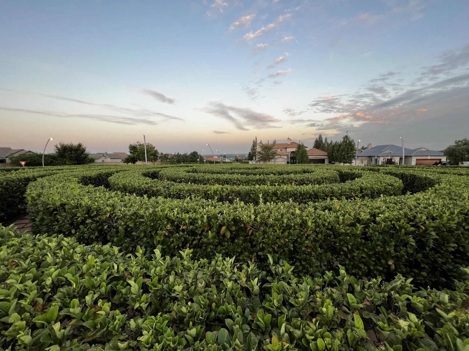 Honeydew Mazes, Johannesburg South Africa