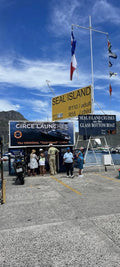 Hout Bay Seal Island Cruise, Cape Town South Africa