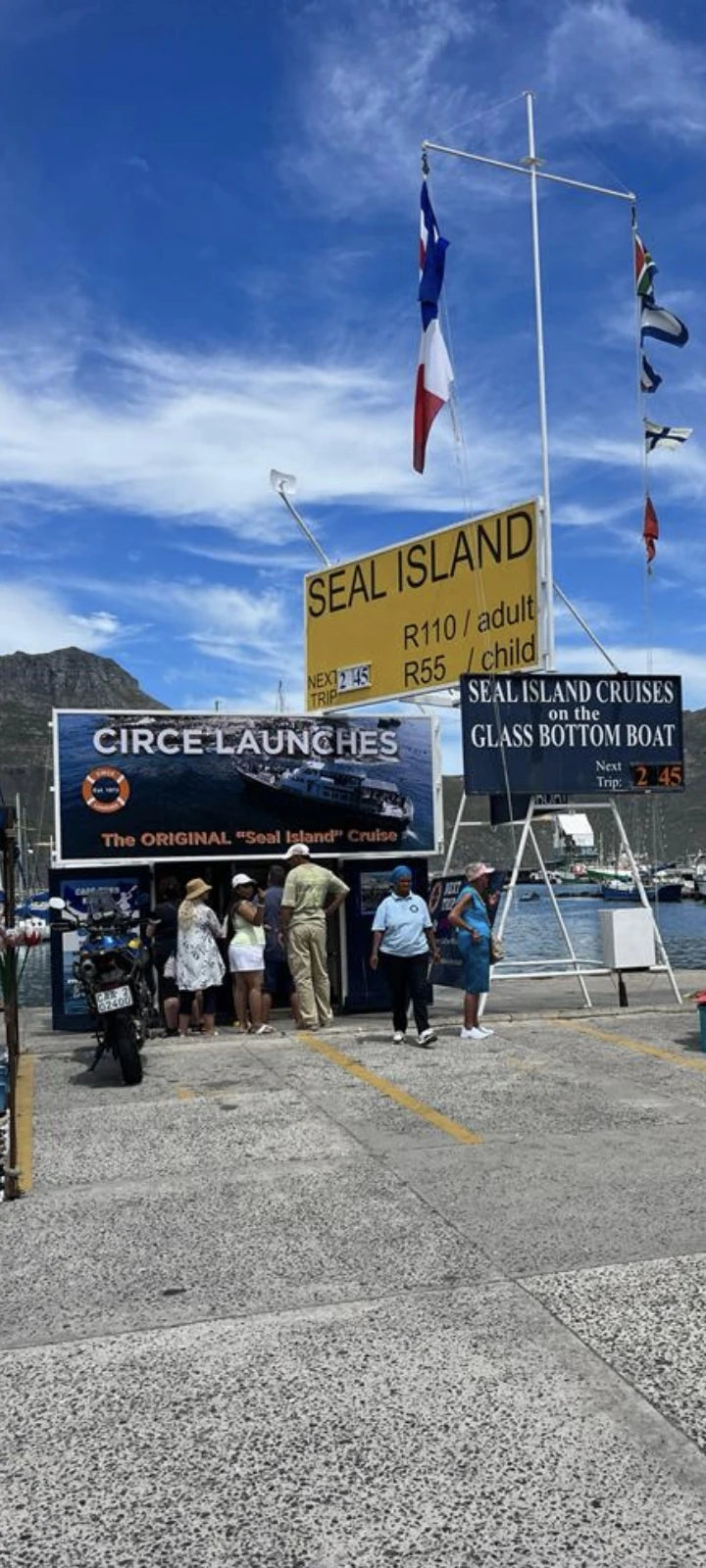 Hout Bay Seal Island Cruise, Cape Town South Africa