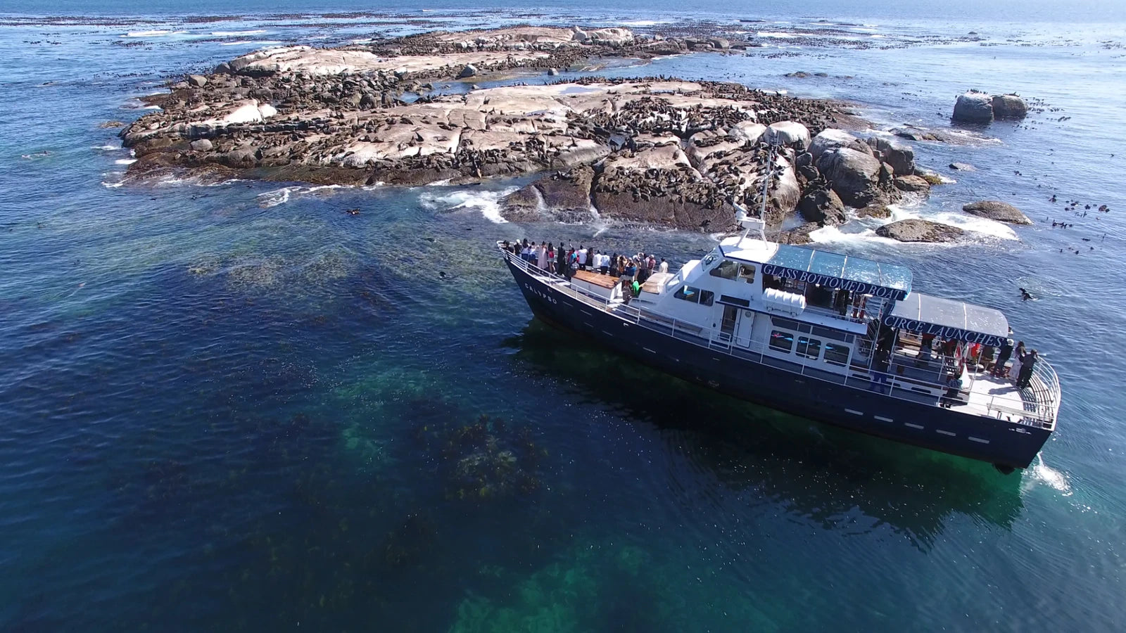 Hout Bay Seal Island Cruise, Cape Town South Africa